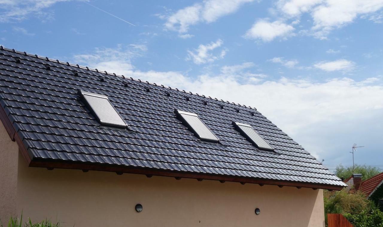 Penzion Na barokní cestě Wellness&Spa Plasy Exterior foto
